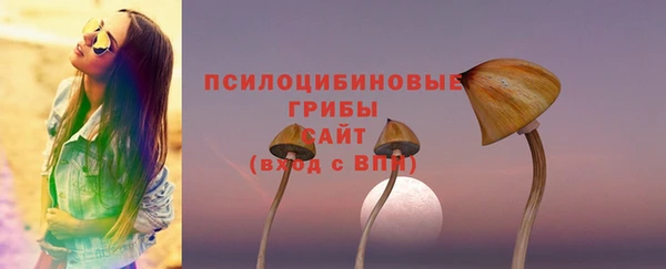 spice Алзамай