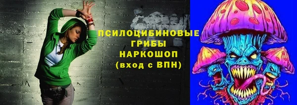 spice Алзамай